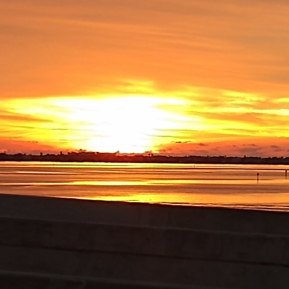 Meet your Posher, Deonjala and Brian - Picture 5 of 6